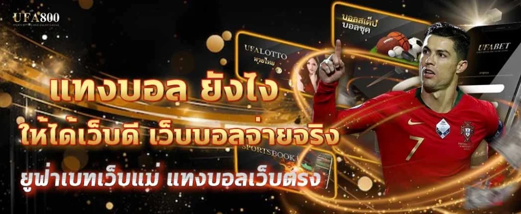 แทงบอล ยังไง ให้ไม่พลาดตั้งแต่ก้าวแรก แทงบอลเว็บตรง